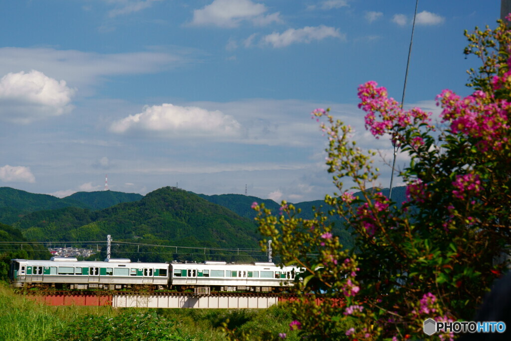 万葉路　秋晴れ