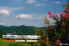 万葉路　秋晴れ