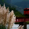 播但線「第一市川橋梁」