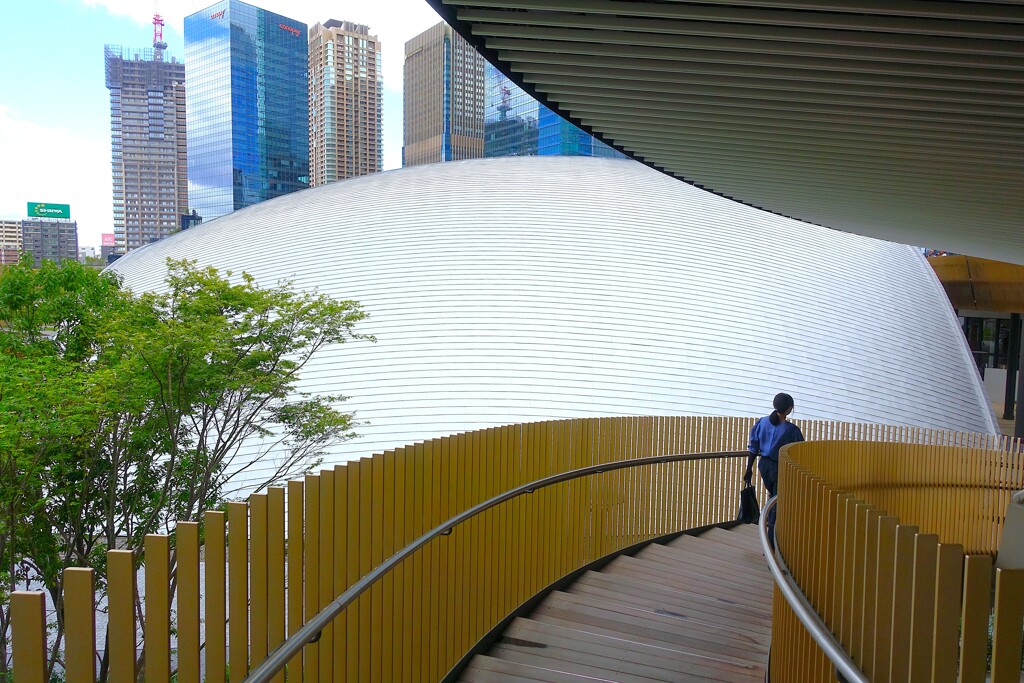 都市の形