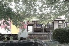 110回目の夏が来る