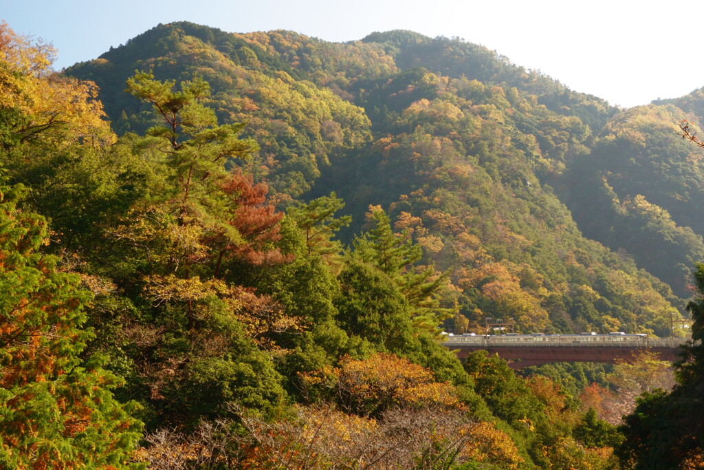 渓谷の駅