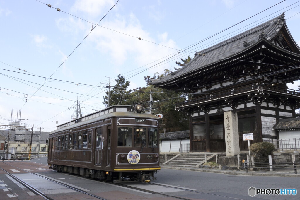 一時間粘ってやっと撮れた一枚
