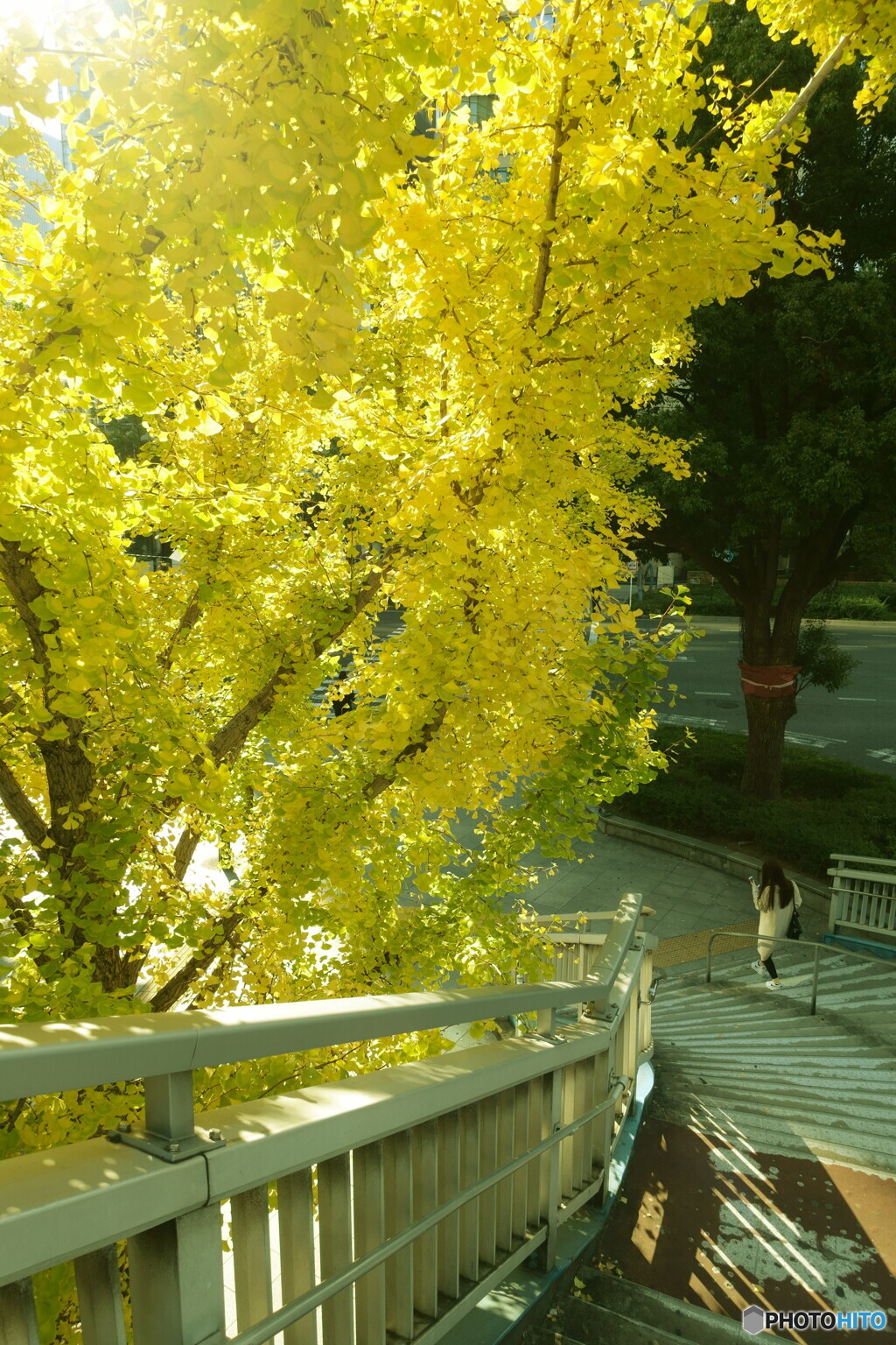 歩道橋
