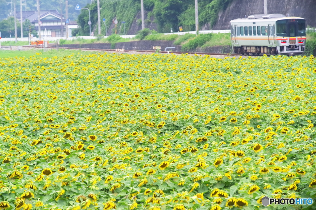 去年の今頃