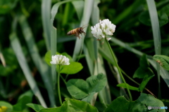 どっちに行こうかな