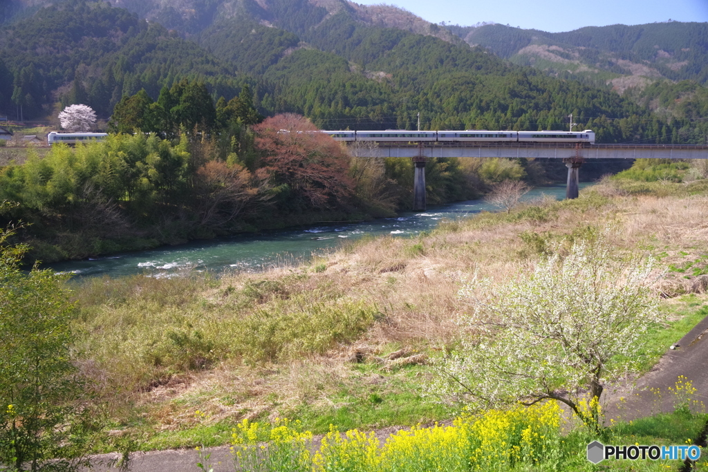 由良川