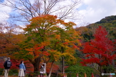 見上げた風景はどうですか？