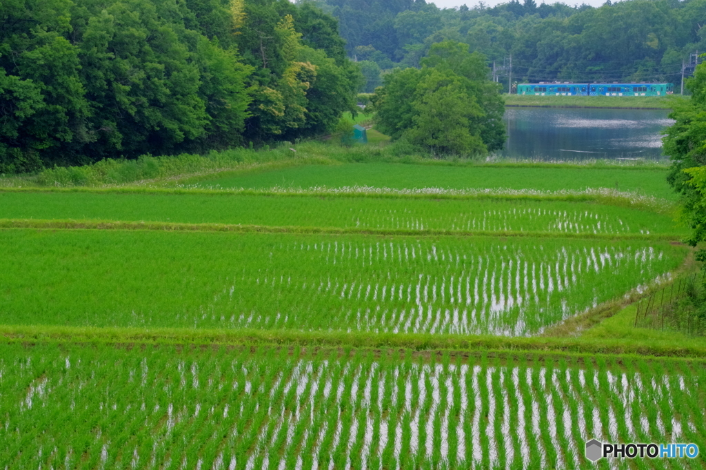 棚田と鉄道の風景（修正版)