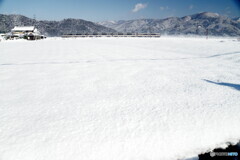 残暑お見舞い申し上げます➁