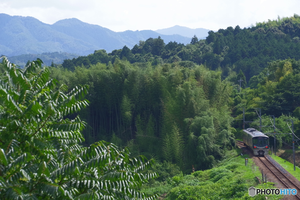 大和・紀州　国境の風景