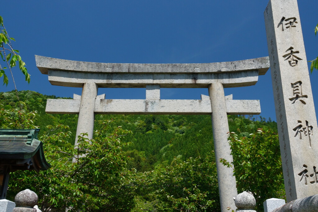 鳥居と新緑の風景