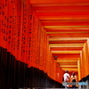 伏見稲荷　２