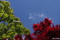 4 colors