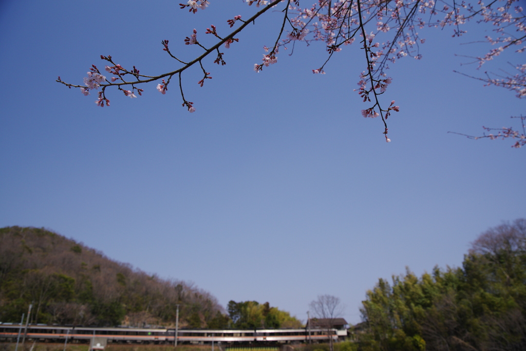 高山本線　二分咲①