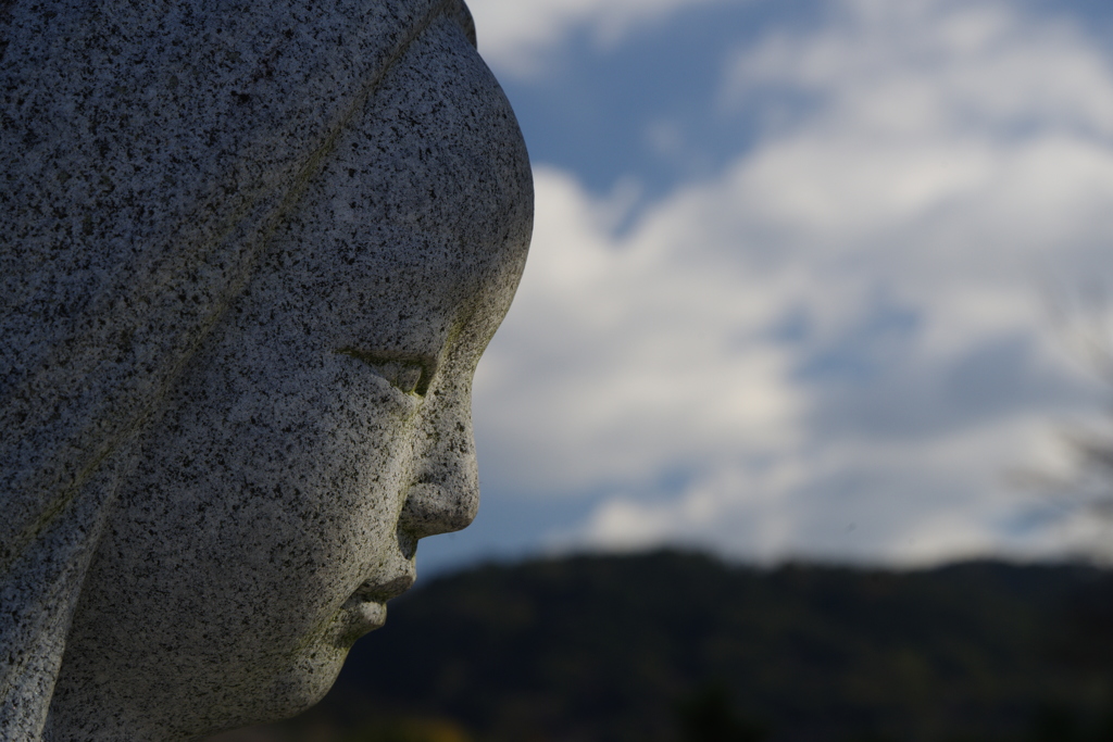 横顔