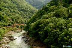 トロッコ列車　初夏