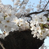 定点観測4／6➁