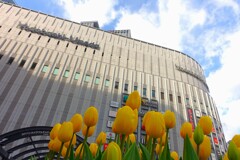 立春　梅田にも春の気配