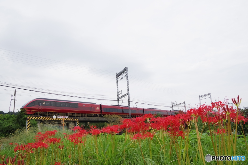 火の鳥 × 火の花