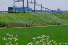 伊賀上野城バックに忍者電車が行く