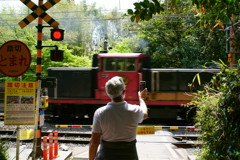 トロッコ列車撮った！
