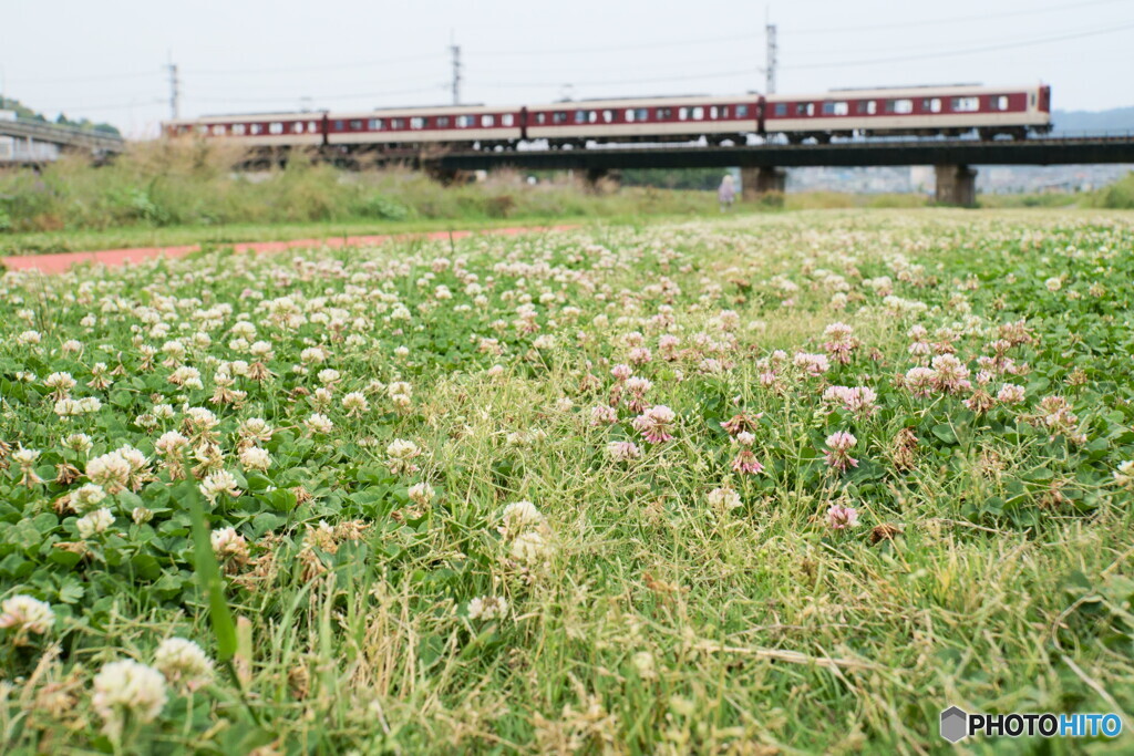 近鉄　生駒線　大和川橋梁