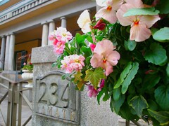 横浜山手234番館