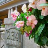 横浜山手234番館