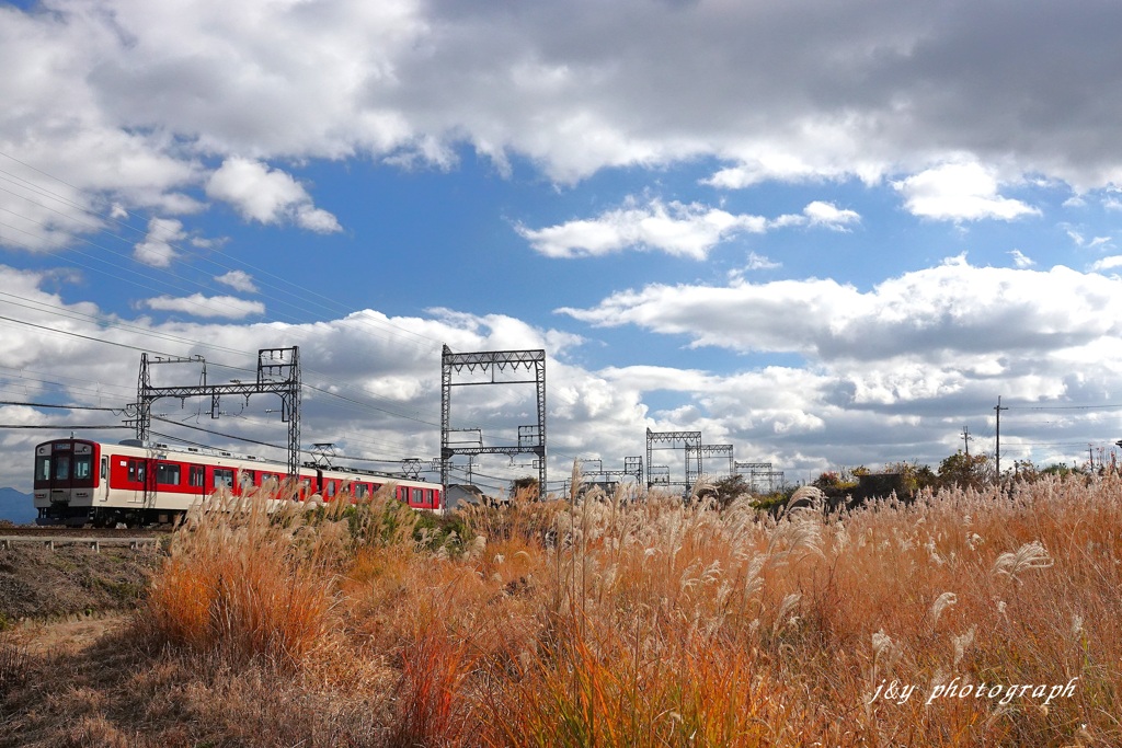 ススキ枯れる頃