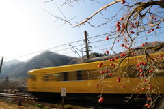 残り柿と鉄道の風景