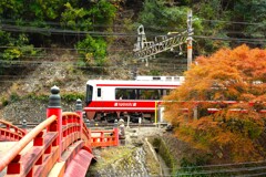 高野山極楽橋と特急こうや