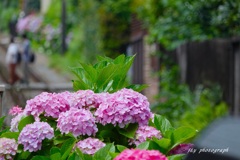 水無月の鎌倉　　踏切