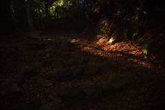 山道の木漏れ陽➁