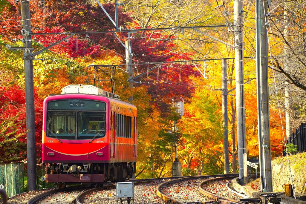 紅葉と赤電車