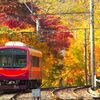 紅葉と赤電車