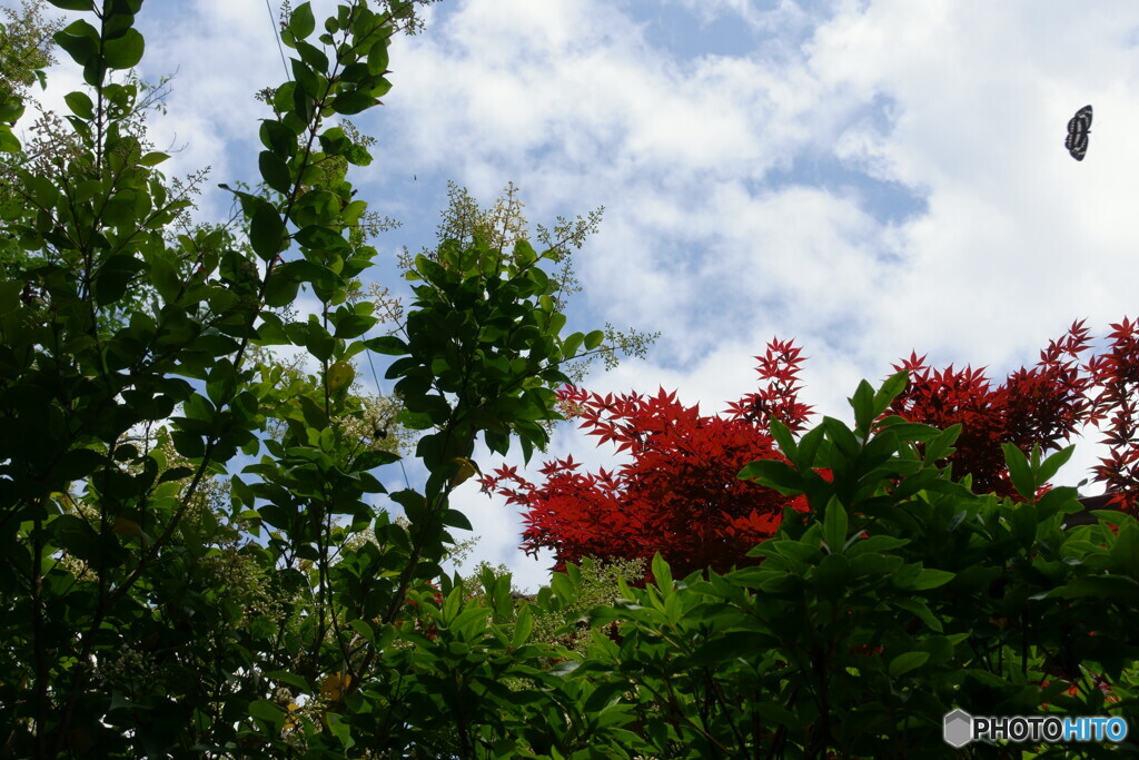 ４colors　その2