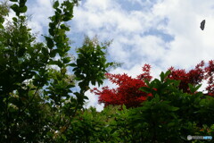 ４colors　その2