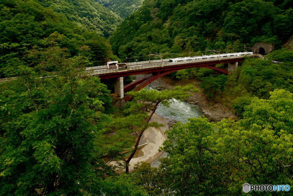 保津峡駅　初夏