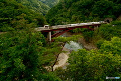 保津峡駅　初夏