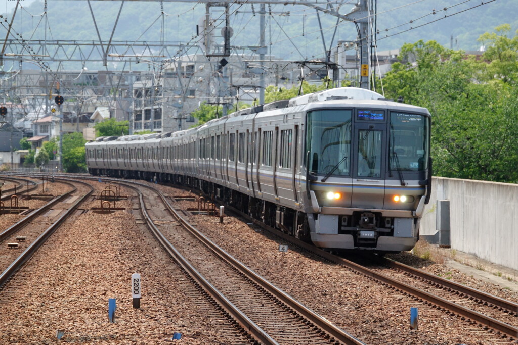 special rapid service by j.enamay （ID：12435901） - 写真