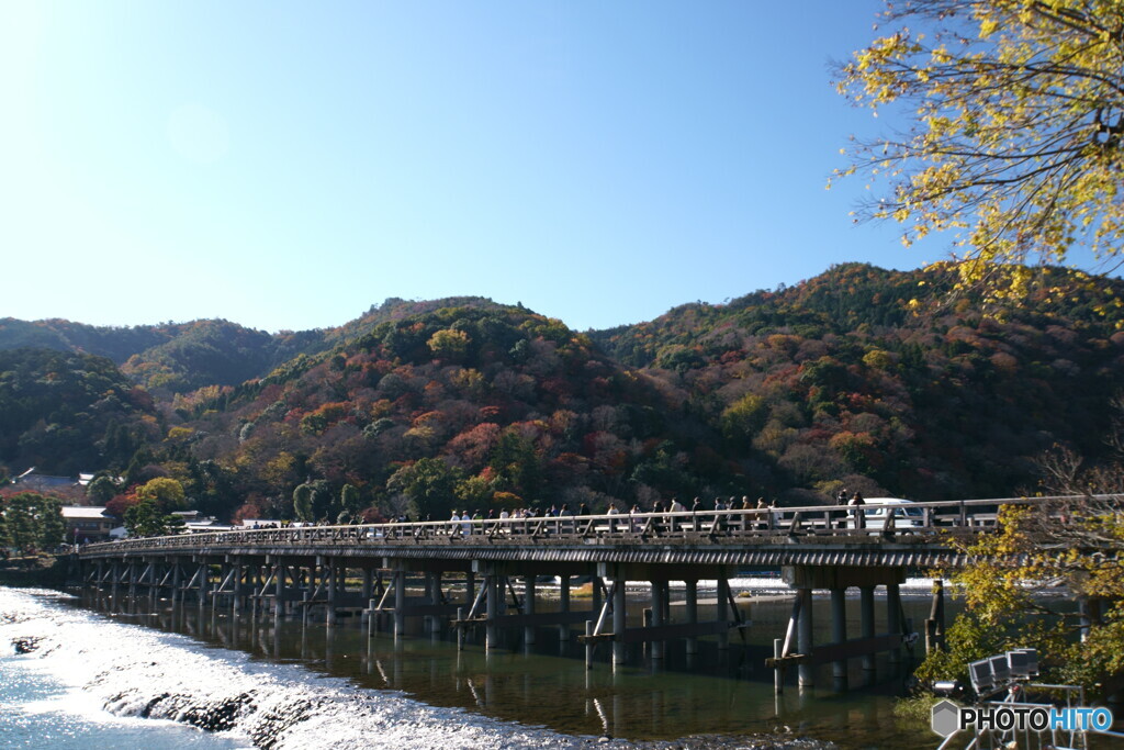 渡月橋定番構図