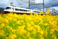 アーバンライナーで行こう