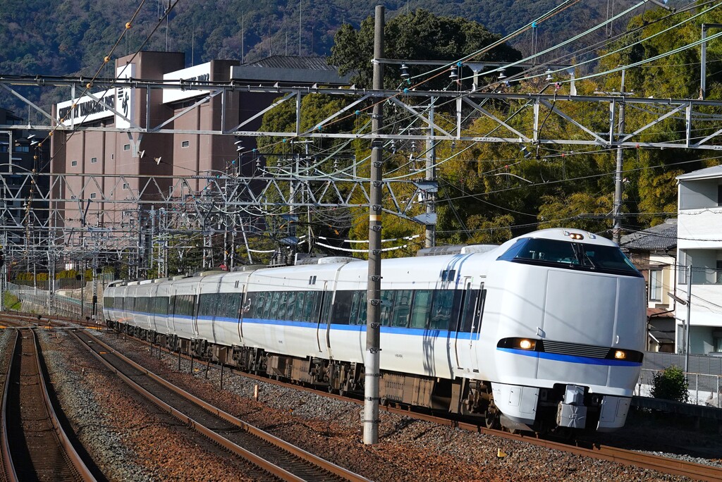 初撮りはサントリーカーブ