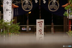 祈りの道  （節目の1500枚目）