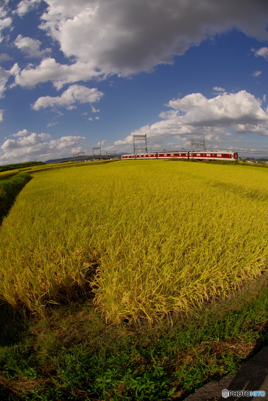 稲穂と空