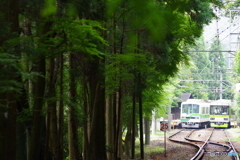 行き違いの風景