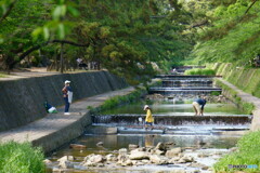 水遊びの季節がやって来た！