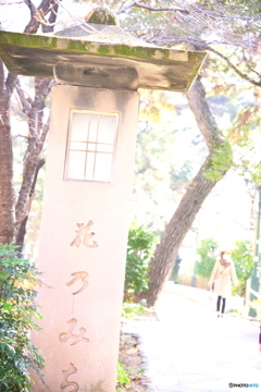 宝塚スナップ（2）