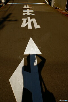 一旦停止でパチリ